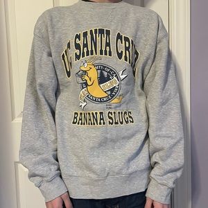 UC SANTA CRUZ GRAY GRAPHIC CREWNECK